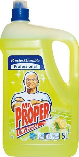 Чистящее средство Mr.Proper дезинфицирующее профессиональное