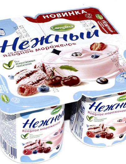 Йогурт Campina Нежный ягодное мороженное 1