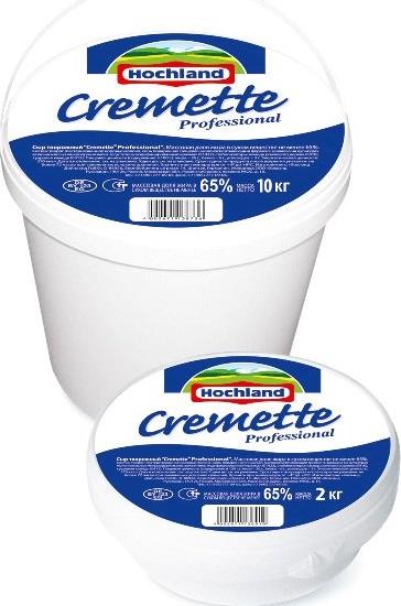 Сыр Cremette Professional творожный